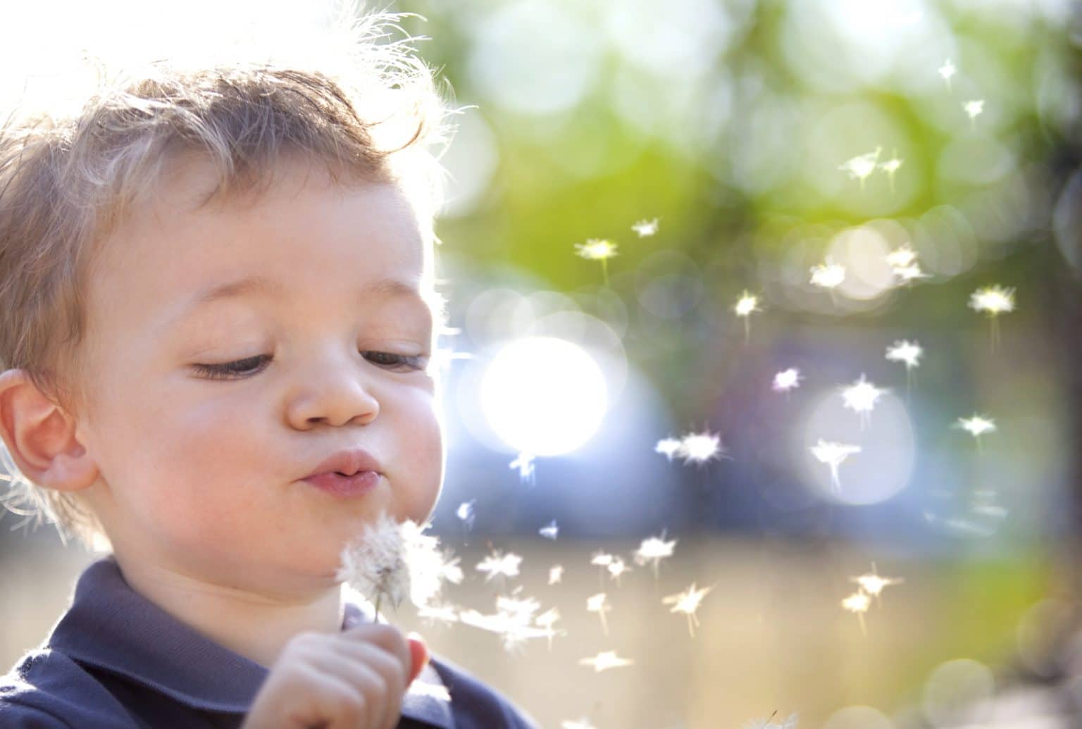 A young child blowing on a dandelion.