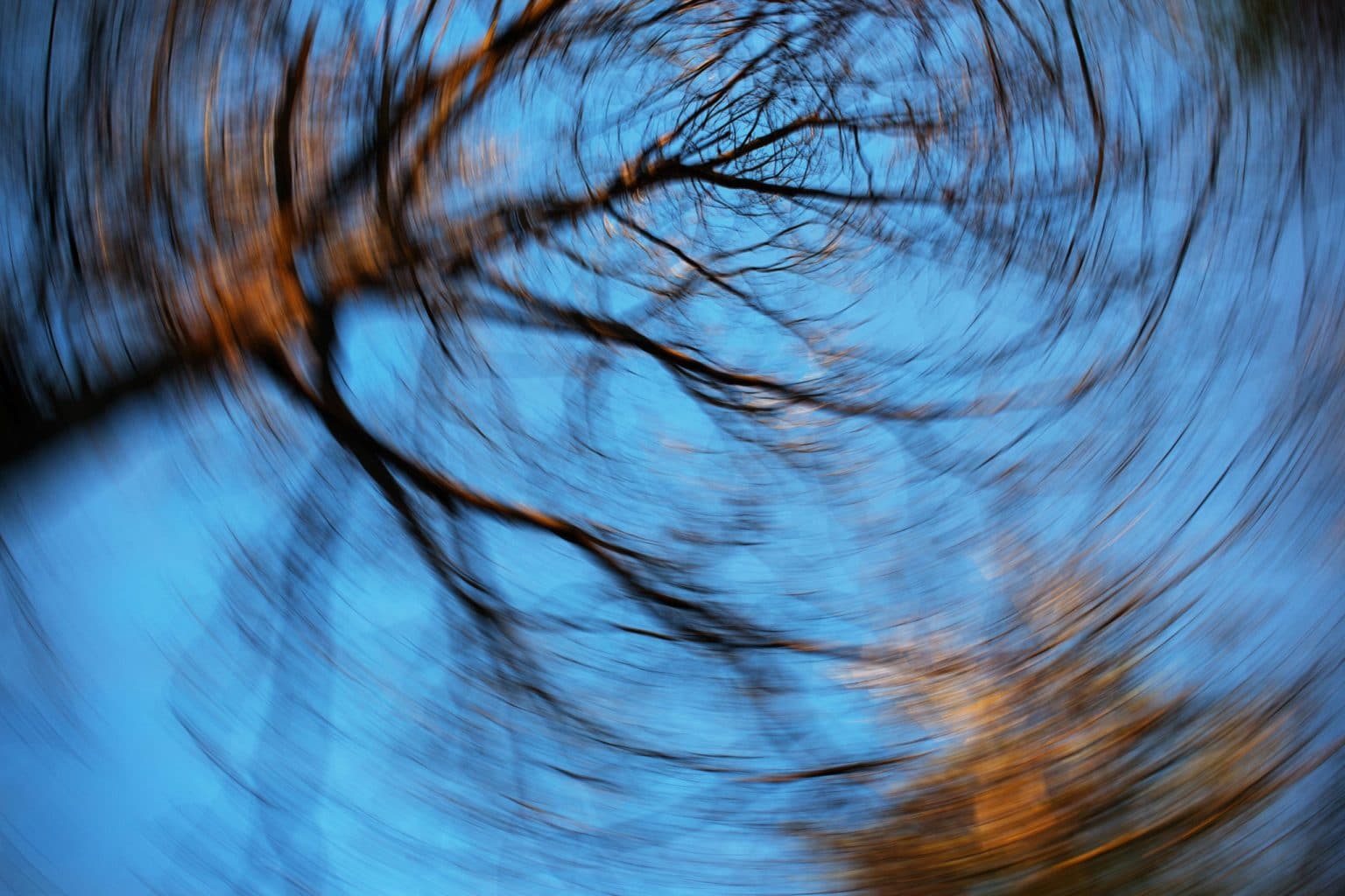 Worm's eye view of a tree swirled in a manner of experiencing vertigo or dizziness.